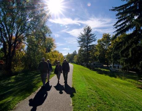 people walking on pathway