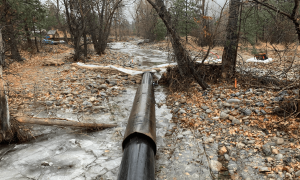 Gallagher Low Head Siphon Construction