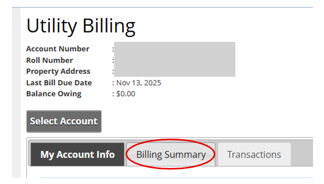 billing summary