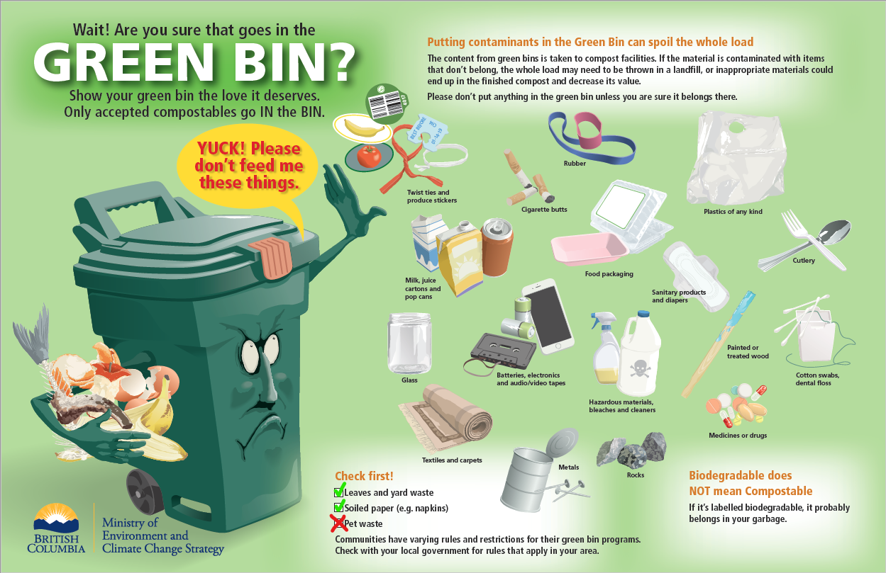 What goes in the green bin