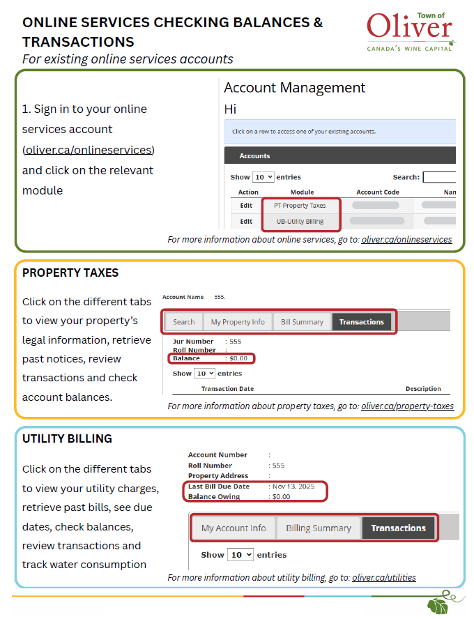 Checking Balances and Transactions