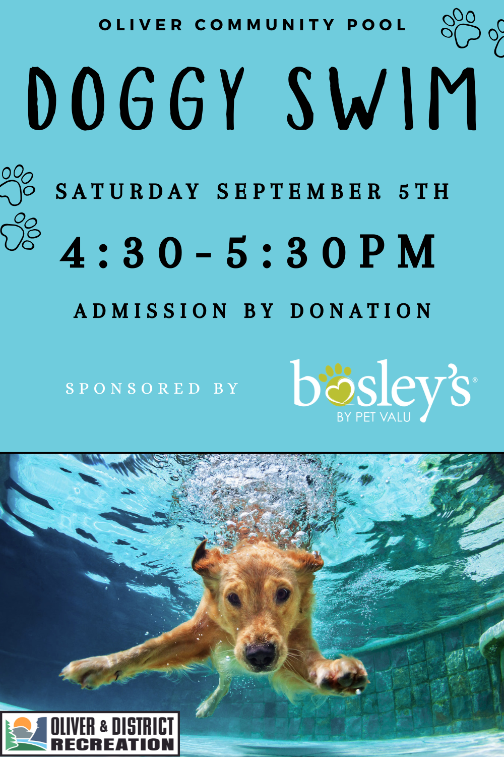 dog swim 430-530