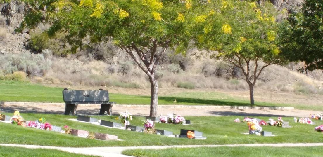 Graves at the Oliver Cemetery